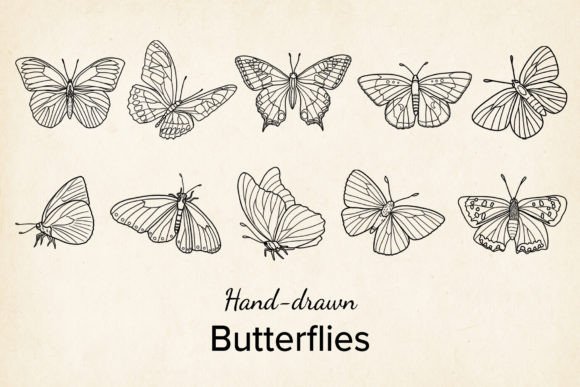 Download Vector Butterfly, Hand Drawn, SVG, PNG - Vector Collection