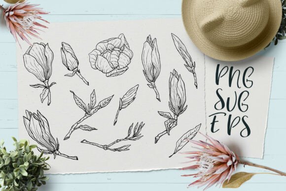 Download Magnolia Hand-drawn Vector Graphics SVG, - Vector Collection