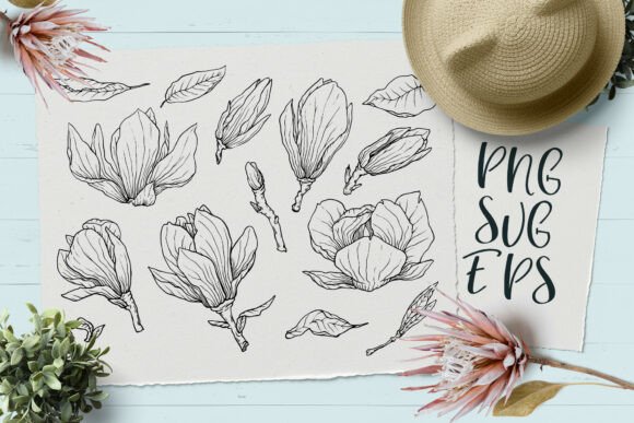 Download Magnolia Hand-drawn Vector Graphics SVG, - Vector Collection